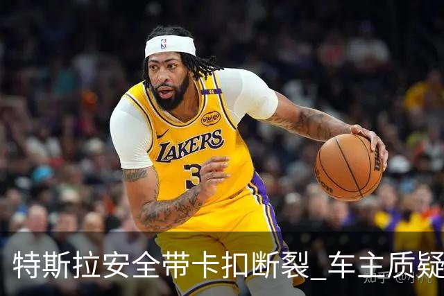特斯拉安全带卡扣断裂 车主质疑质量缺陷